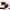 L, variant on Kiplyki Flash 12 Colors Lazy Lipstick Matte Lipstick Set Lazy Lipstick Long Lasting High Pigmented Lip Gloss Non-stick Cup Velvet Lip Stick Stain Lip