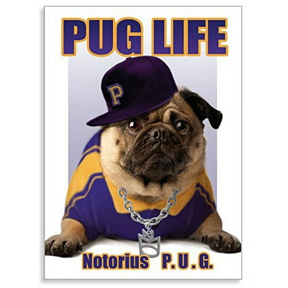 PUGGO Pugs Art Collection, PUGGO HIP Pug, - Officially Licensed Exceptional Pug Heavy Duty MAGNET - 2.5" x 3.5"