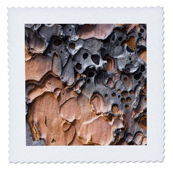 3dRose, Ponderosa Pine tree bark, Yosemite NP, California - US05 JGS0118 - Jim Goldstein, 14x14 inch quilt square