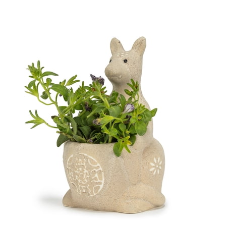 Set of 12 Kangaroo Shaped Planter