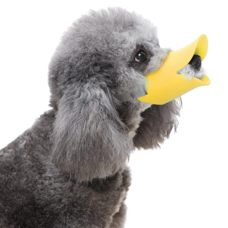 Dog with duck in cheap mouth