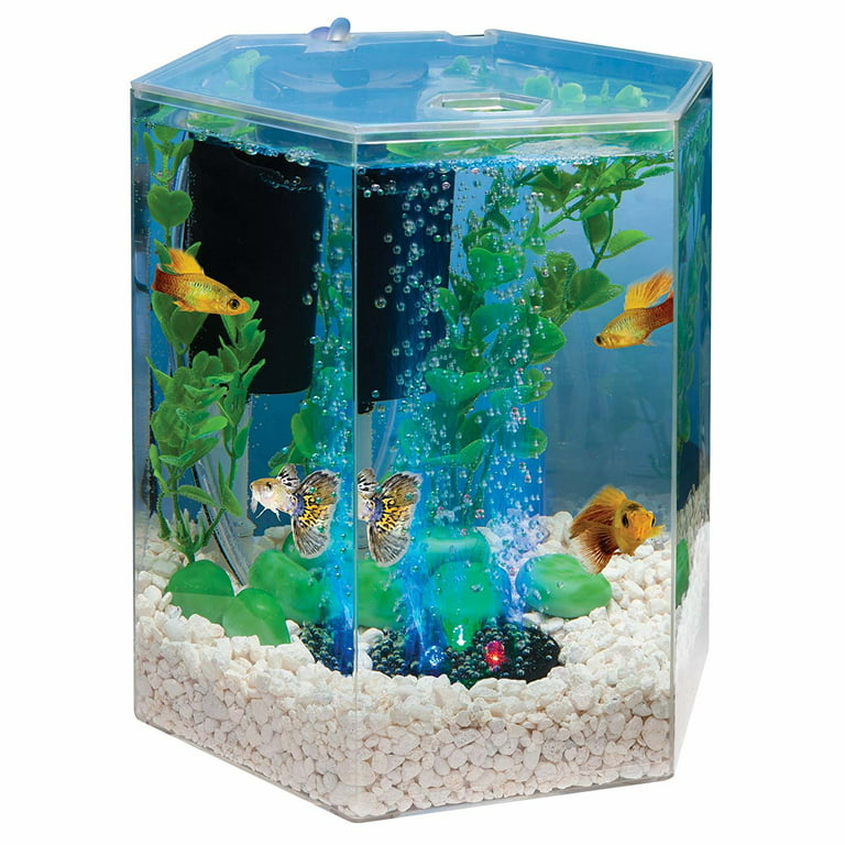 Tetra Bubbling LED Aquarium Kit 1 Gallon, Hexagon Shape, with  Color-Changing Light Disc, Acrylic