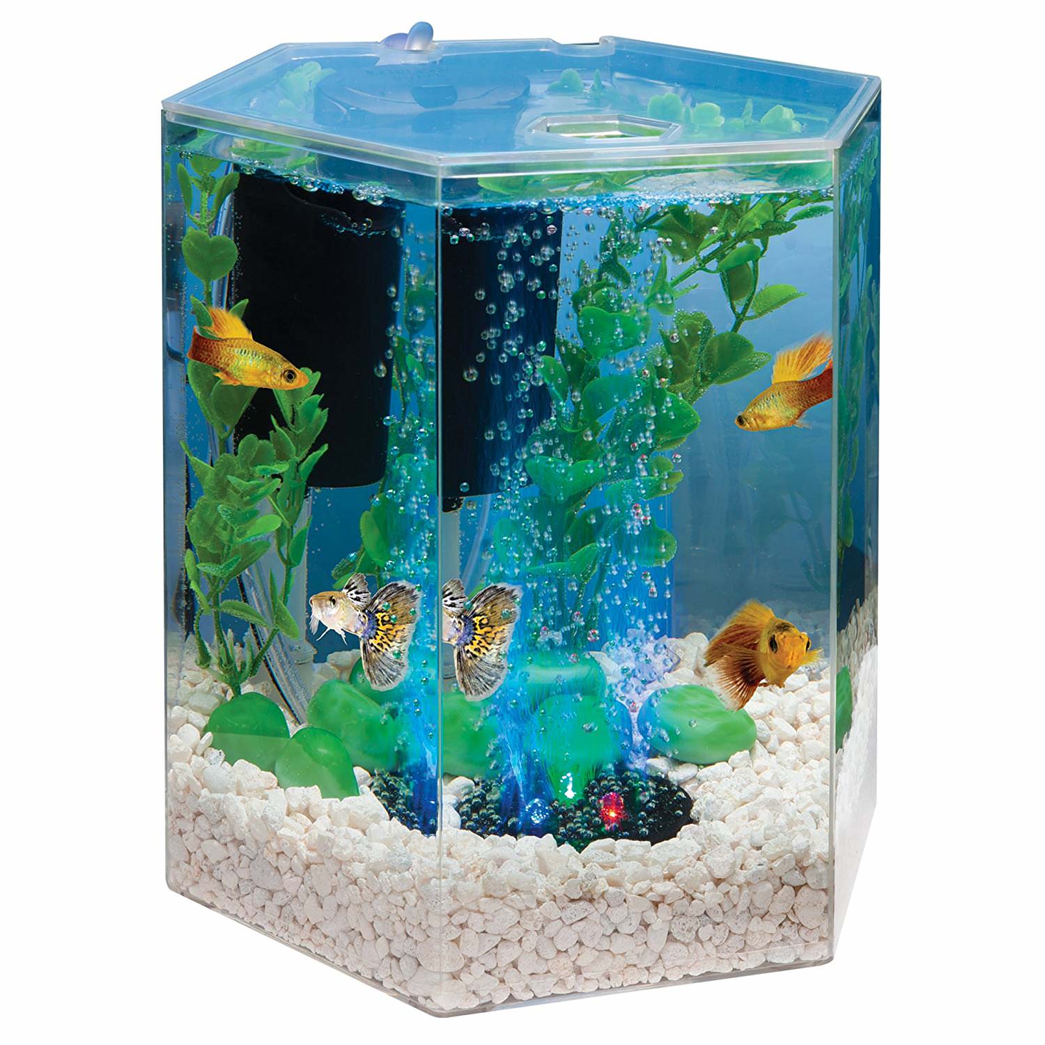 Tetra Bubbling LED Aquarium Kit 1 Gallon, Hexagon Shape, with Color-Changing Light Disc, Acrylic - image 4 of 5