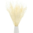 thumbnail image 1 of Ramo de flores secas Uxcell 17" Manojo de flores secas de Limonium [Blanco, 120g], 1 of 1