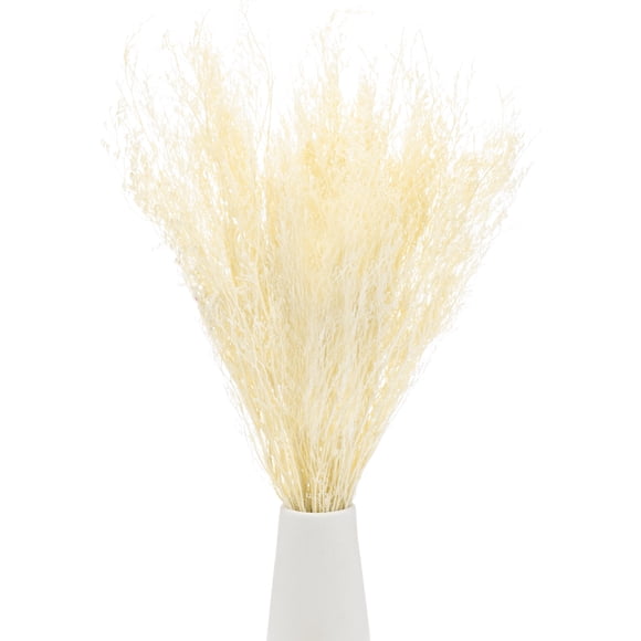 Ramo de flores secas Uxcell 17" Manojo de flores secas de Limonium [Blanco, 120g]