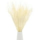 thumbnail image 1 of Ramo de flores secas Uxcell 17" Manojo de flores secas de Limonium [Blanco, 120g], 1 of 1