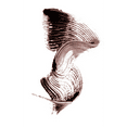 thumbnail image 4 of "Palladio 4D Boost Volumizing Mascara, Brown", 4 of 4