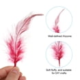 thumbnail image 3 of Uxcell 2.8''-5.5'' Saddle Hackle Rooster Feather Bulk Natural Feathers Fluffy Craft Feathers 100 Pcs Burgundy, 3 of 6