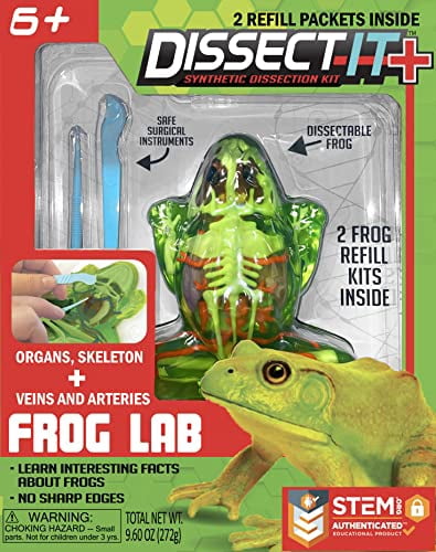Dissect-It Simulée Dissection de Laboratoire Synthétique Tige Jouet, la Maison des Enfants d'Apprentissage Projet Scientifique, Idéal pour les Jeunes Scientifiques! - Frog Plus