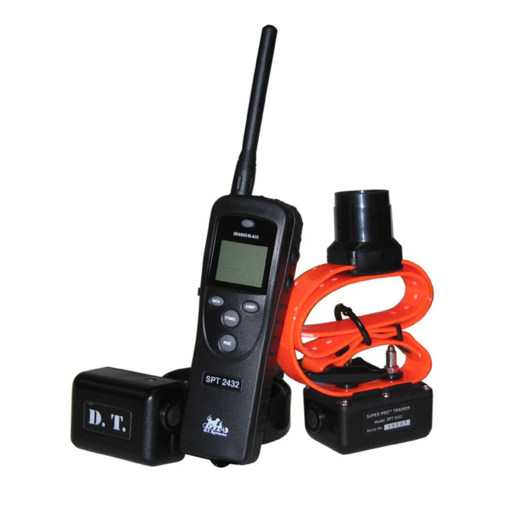 DT Systems Model SPT 2430 w/Beeper 2 Dog