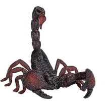 EMPEROR SCORPION 387133