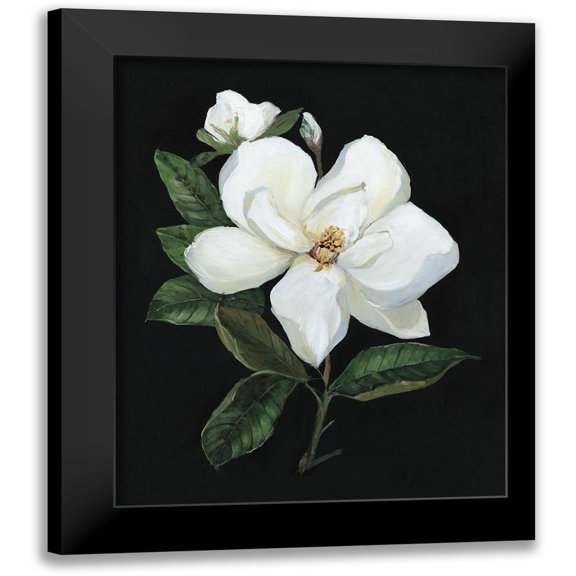Swatland, Sally 12x14 Black Modern Framed Museum Art Print Titled - Midnight Magnolia