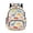 Beige and Red - Dinosaur, variant on Dinosaur Print School Backpack for Elementary Middle School Students, Multi Compartment Spacious Bookbag with Side Mesh Pockets for Books Snacks Daily Use
