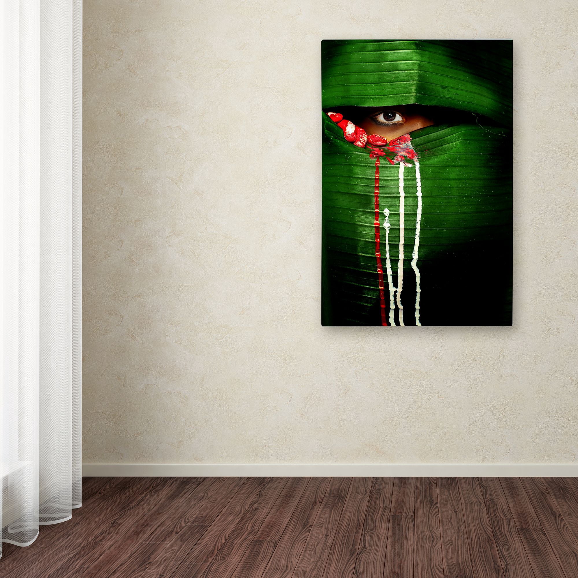 Trademark Fine Art 'Mysterious Eye' Canvas Art by Adithya Zen