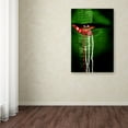 thumbnail image 3 of Trademark Fine Art People Canvas Art ' Mysterio Eye ' by Adithya Zen, 3 of 3
