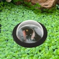 thumbnail image 4 of BESTYASH Compact Fish Dome Floating Cover Acrylic Fish Dome 1Set for Outdoor Use, 4 of 8