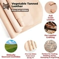 thumbnail image 4 of ELW Vegetable Tanned Leather Shoulder Pre-Cut, Full Grain Leather Cowhide, Natural, 4-6 Sq ft, 8-9 oz. 3.2-3.6mm Thick, 4 of 10