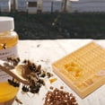 thumbnail image 3 of Beekeeping Cup Kit 120 Cell Cups Bee Tool Set Queen Rearing System Bee Nicot Complete Catcher Cage Apiculture Helper, 3 of 7