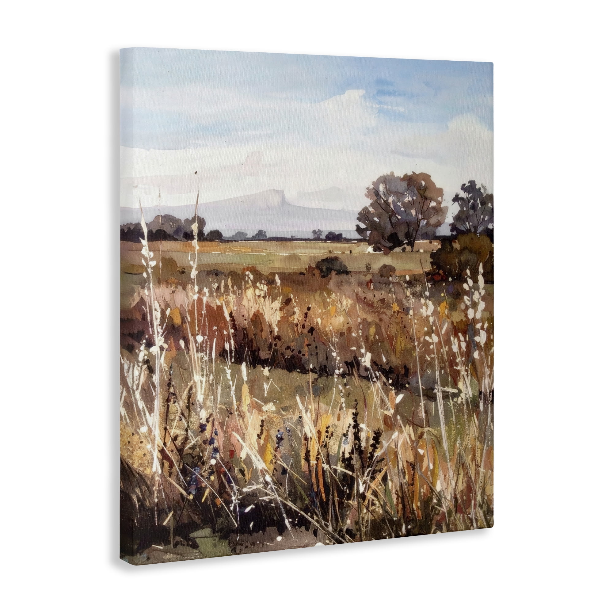 Stupell Industries Peaceful Meadow Expression Canvas Wall Art, design by Alonza Saunders