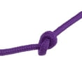 thumbnail image 5 of Uxcell 98Ft 1/4 Inch (6mm) Diamond Braided Polypropylene Rope Suitable for Flagpole Camping Crafting, Purple, 5 of 6