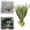 C, variant on 1PC Artificial Staghorn Fern, Fake Succulent Plants, Faux Frosted Greenery Antler Horn Grass， Tropical Air Plant for Indoor or Outdoor Decoration