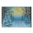 thumbnail image 1 of Winter Cutting Board, Forest View Graphic Display Print with Snowy Path Between Trees and Sun on Sky, Decorative Tempered Glass Cutting and Serving Board, Small Size, Blue Yellow, by Ambesonne, 1 of 1