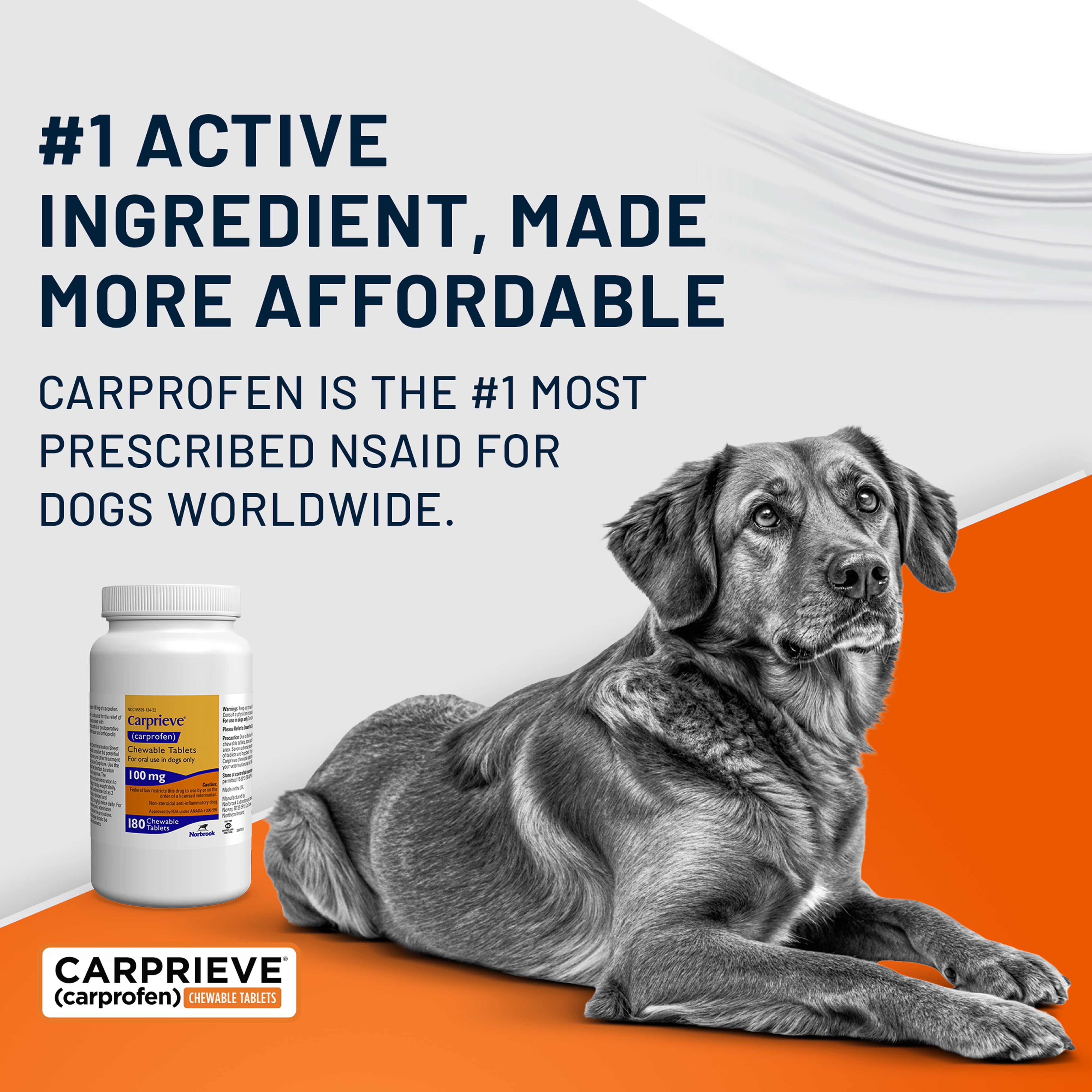 Carprieve® (Carprofen) Chewable Tablets for Dogs, 100 mg