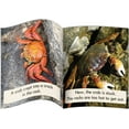 thumbnail image 3 of Junior Learning Blend Readers - Non-Fiction Learning Set, 3 of 6