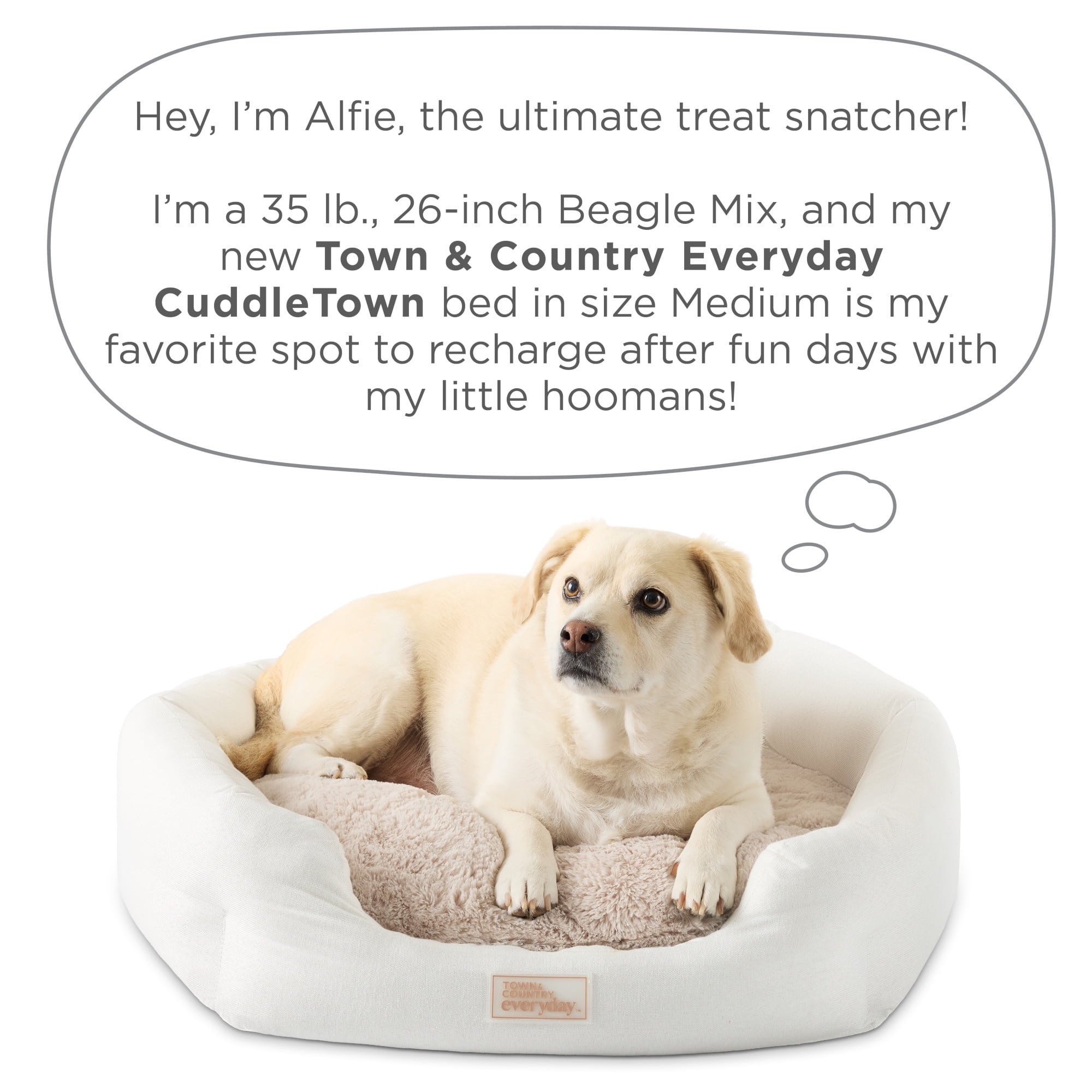 TOWN & COUNTRY EVERYDAY CuddleTown Faux Linen Comfy Cozy Cuddler Pet Bed, Supportive & Calming Egg Crate Foam, Water Repellent, Non-Slip Bottom, Machine Washable Cover, Grey, Medium 28"x26"x8"