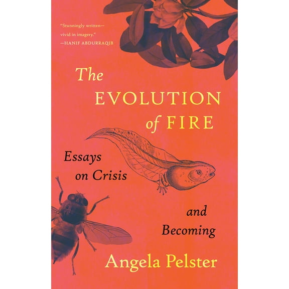 The Evolution of Fire: Essays on Crisis and Becoming, (Paperback)