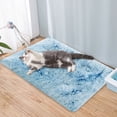 thumbnail image 5 of Pets Cat Bed Dog Crate Pad Ultra Soft Pet Bed, Washable Crate Mat for Small Dogs and Indoor Cats Reversible Fleece Dog Kennel Pad Cat Carrier Mat,16.8×11.8 inch, 5 of 7