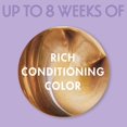 thumbnail image 4 of FADE RESIST Sombre et Adorable Baie Bourgogne Riche Couleur Revitalisante #326, 4 of 5
