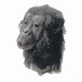thumbnail image 2 of Chimp Mask For Men Gorilla Latex Mask Halloween Costume Black Monkey Masks Carnival Party Copslay, 2 of 5