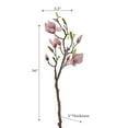 thumbnail image 2 of Magnolia Large Spray Old Pink, 2 of 3