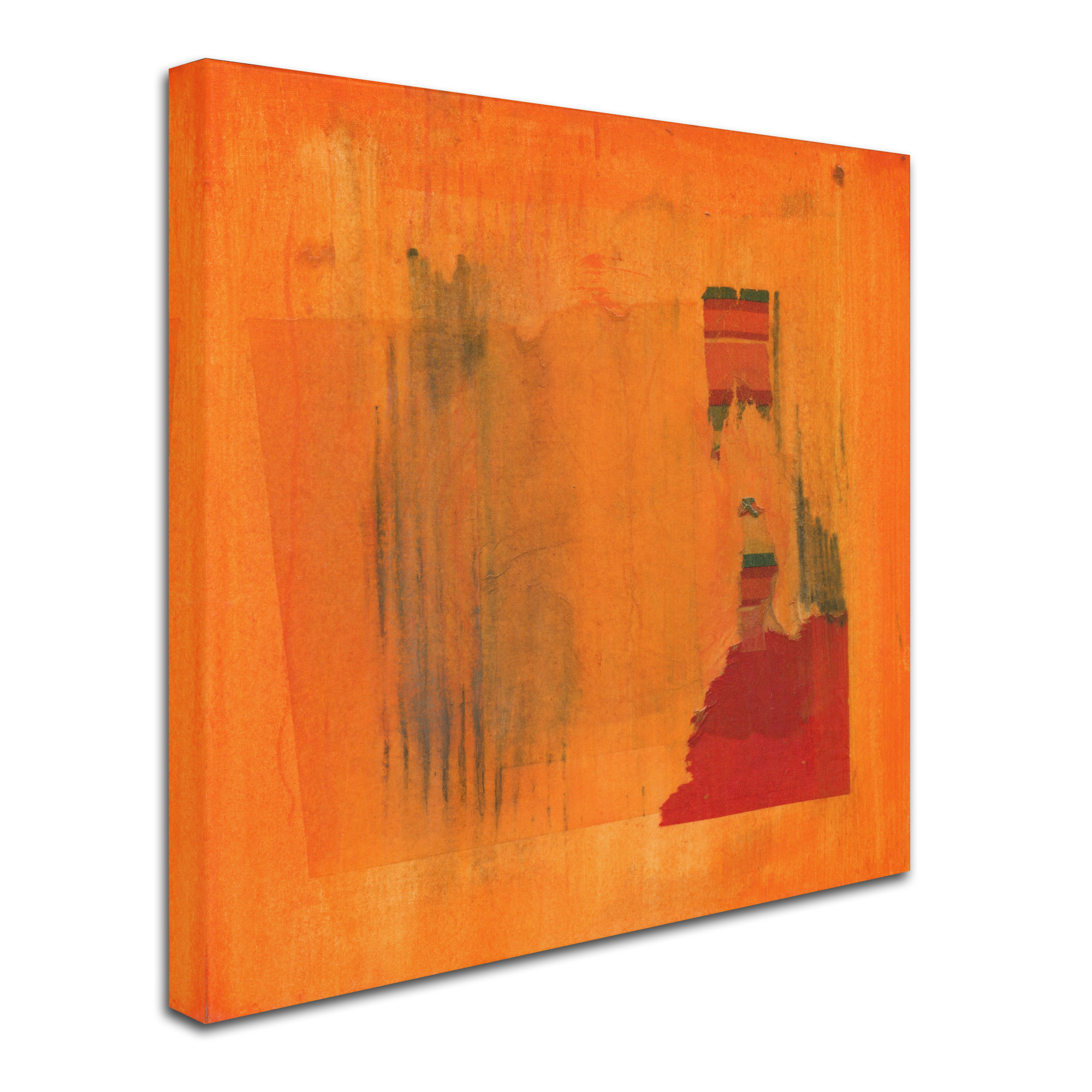 Trademark Fine Art 'Orange Vector' Canvas Art by Anthony Sikich