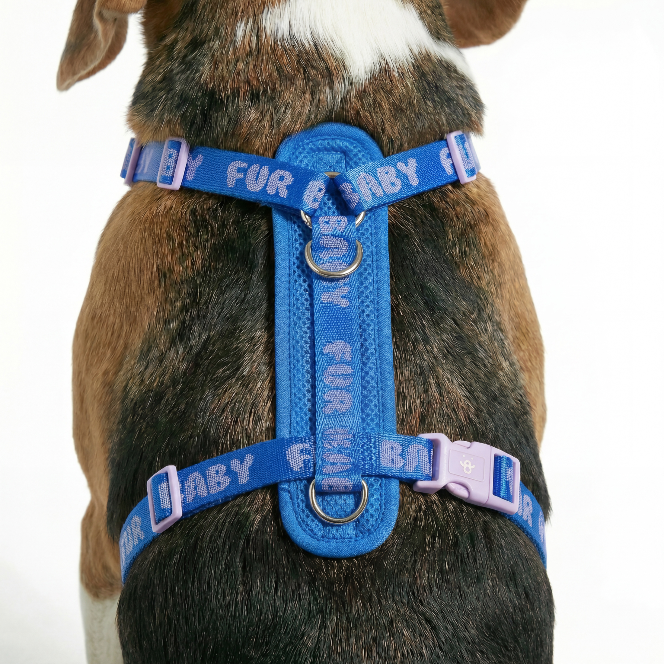 Oodles Polyester Fur Baby Step-In Dog Walking Harness, Blue photo 6