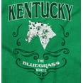 thumbnail image 2 of Kentucky Bluegrass Cute Floral Horse Women's Plus Size Graphic Tee Brisco Brands 3X, 2 of 3