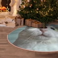 thumbnail image 5 of Sikiie Funny Cat Nativity Christmas Tree Skirt, Jesus Christian Winter Holiday Tree Mat Decoration(30-48IN)30", 5 of 6