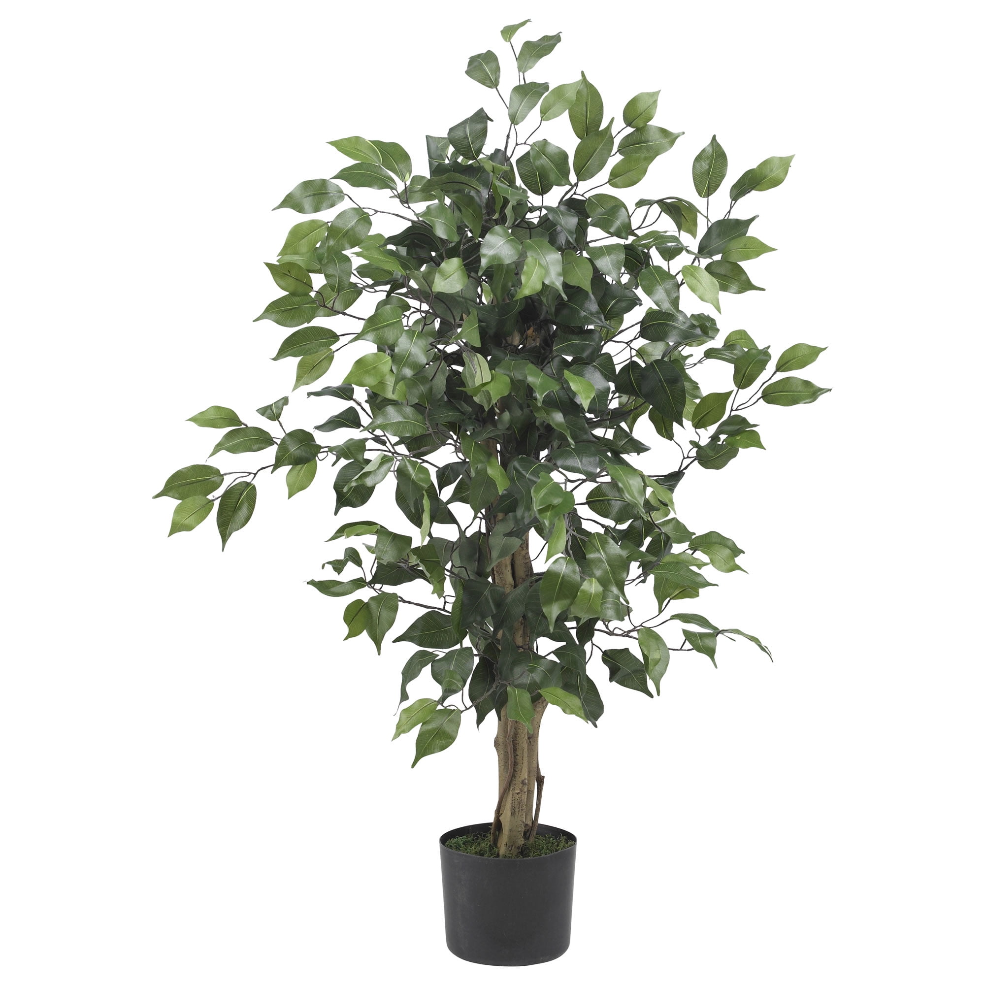Artplants Artificial Ficus subtropical jarlan Green White 210cm-Decorative Tree 
