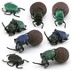 thumbnail image 2 of Juego de figuras con forma de escarabajo pelotero, PVC, 8 piezas, juguete educativo para niños, 2 of 2