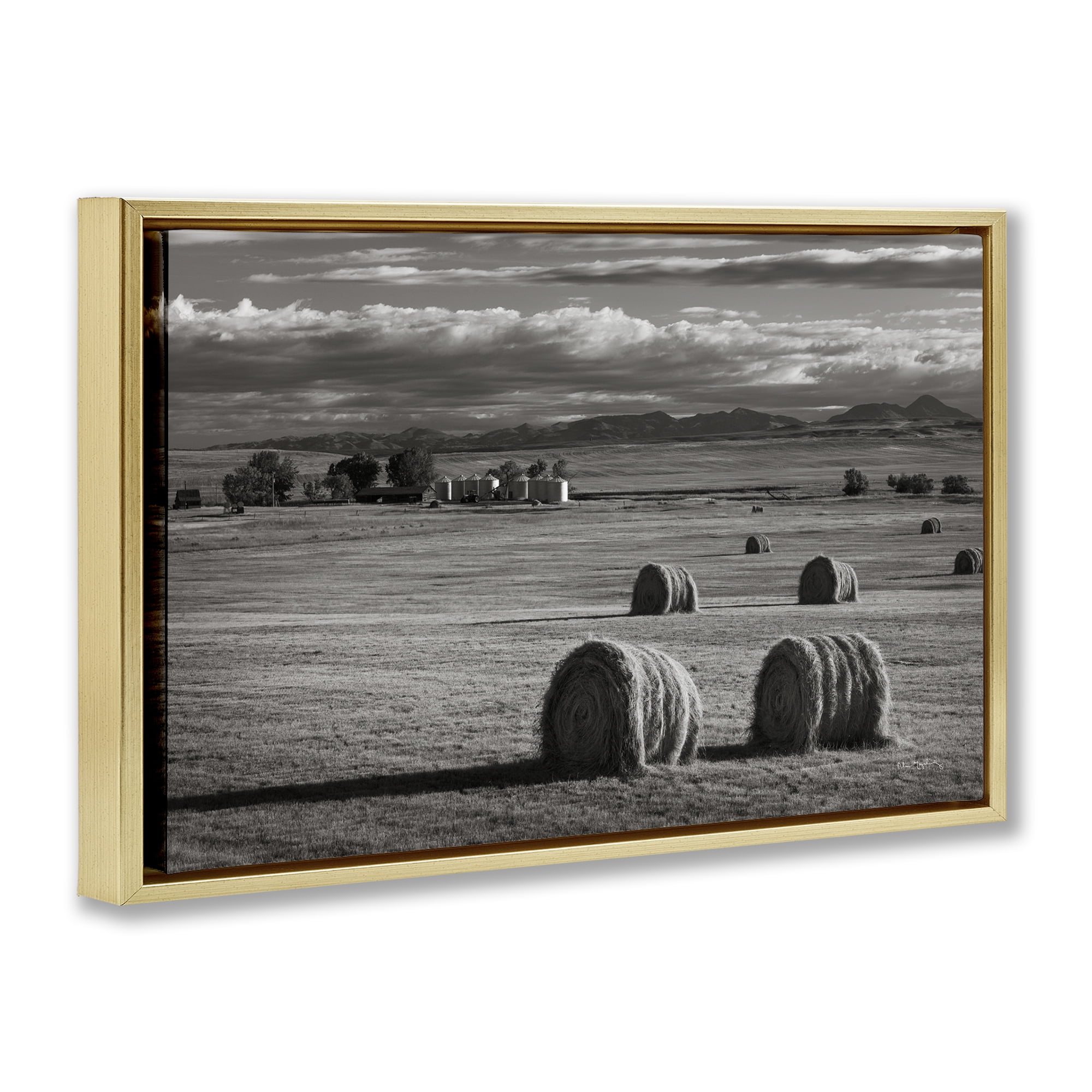 Stupell Industries Montana Hay Bales Landscape & Nature Photography Gold Floater Framed Canvas Art Print Wall Art, 25 x 17