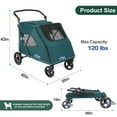 thumbnail image 2 of Large Dog Travel Stroller with 4 Heavy Duty Wheels Pet Stroller with Adjustable Handle - Double Doggie Capacity Jogger Wagon with Back Front Door for Small Medium Large Dogs (Dark Green-C), 2 of 7