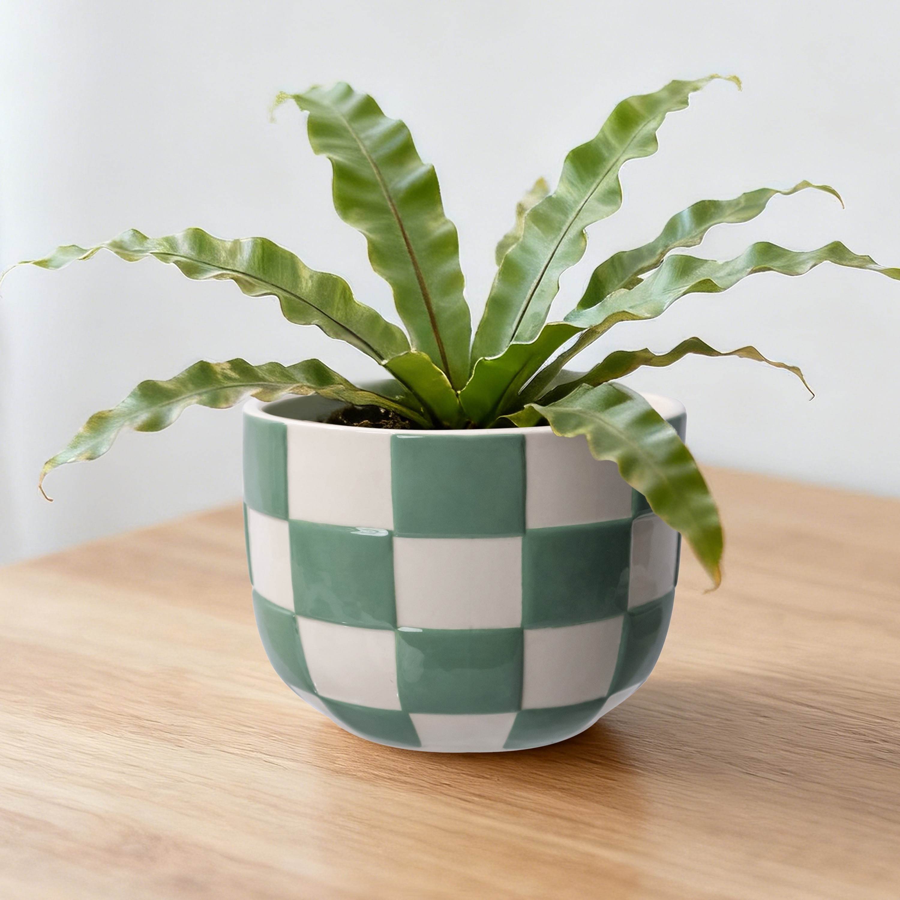Mainstays Lennon 6" x 6" x 4.5" Round Green Checkered Ceramic Planter