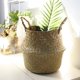 thumbnail image 1 of 22 x 18 x 19 cm, cesta de vientre de pasto marino natural, cesta para la colada, cesta de almacenamiento grande para plantas de interior, 1 of 5