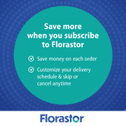 Florastor Unisex Advanced Pro + Pre Probiotic and Prebiotic Supplement, 30 Count