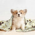 thumbnail image 4 of Pofeuu Sweet Bee Print Puppy Blanket,Dog Blankets,Pet Blanket Cozy Cat Blankets for Indoor Cats, Fuzzy Pet Blanket for Kitten Doggy Dog Blankets-Small, 4 of 8