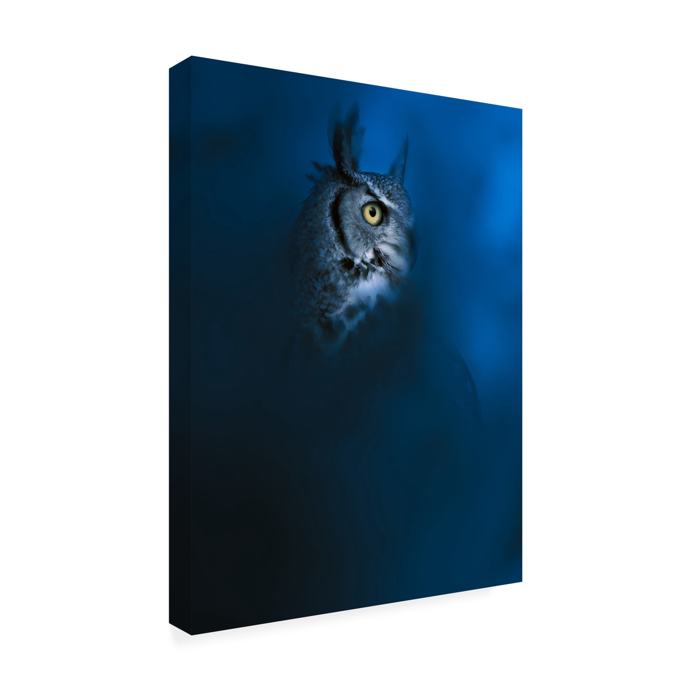 Trademark Fine Art Ahmed Sobhi  Blue Canvas Wall Art