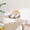 1-Wood, variant on CBJCBJ Solid Wood Cat Wall Mounts Shelves Perches Set, Climbing Wall-mounted Cat Tree House for Cats, 3-Piece