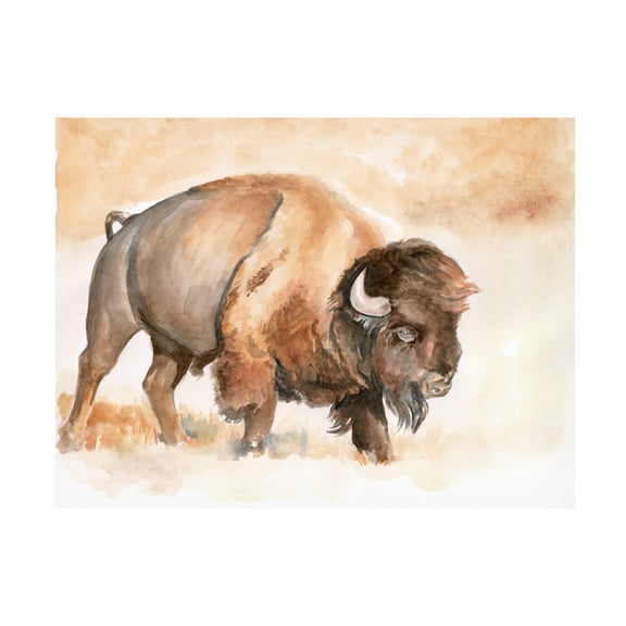 Jennifer Paxton Parker 'Buffalo Roam II' Canvas Art