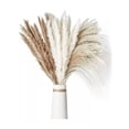thumbnail image 1 of Pampas Secas 60 Pzs Plantas Decorativas Flores Artificiales beige/cafe, 1 of 4